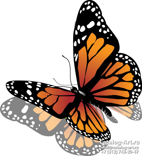  Butterflies 141